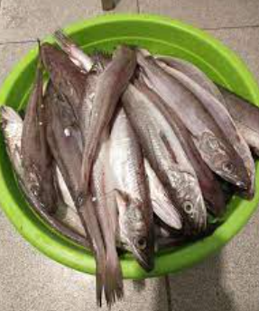 Hake 300 g