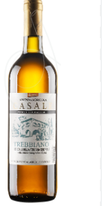 Trebbiano