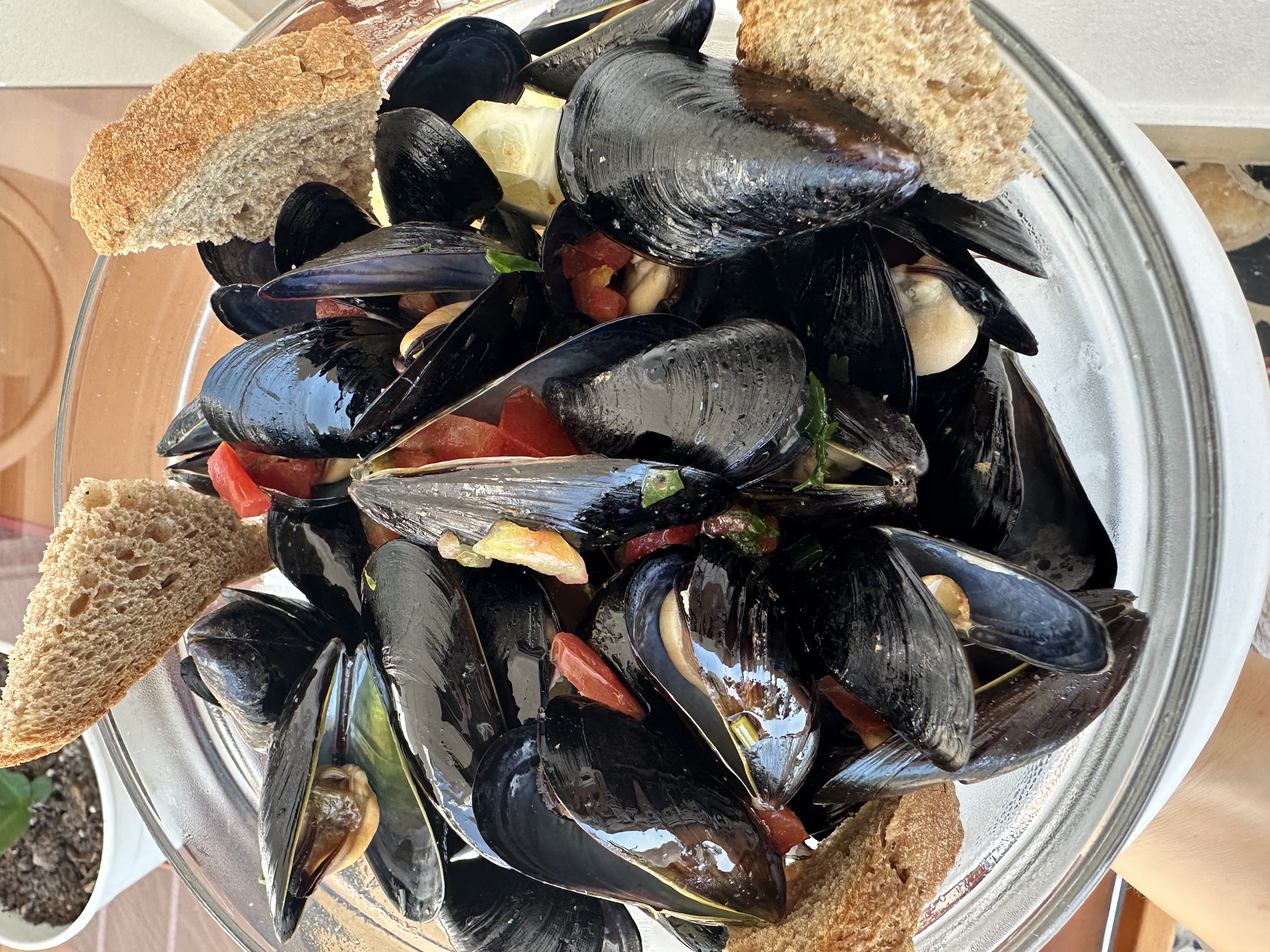 Mussels seasute