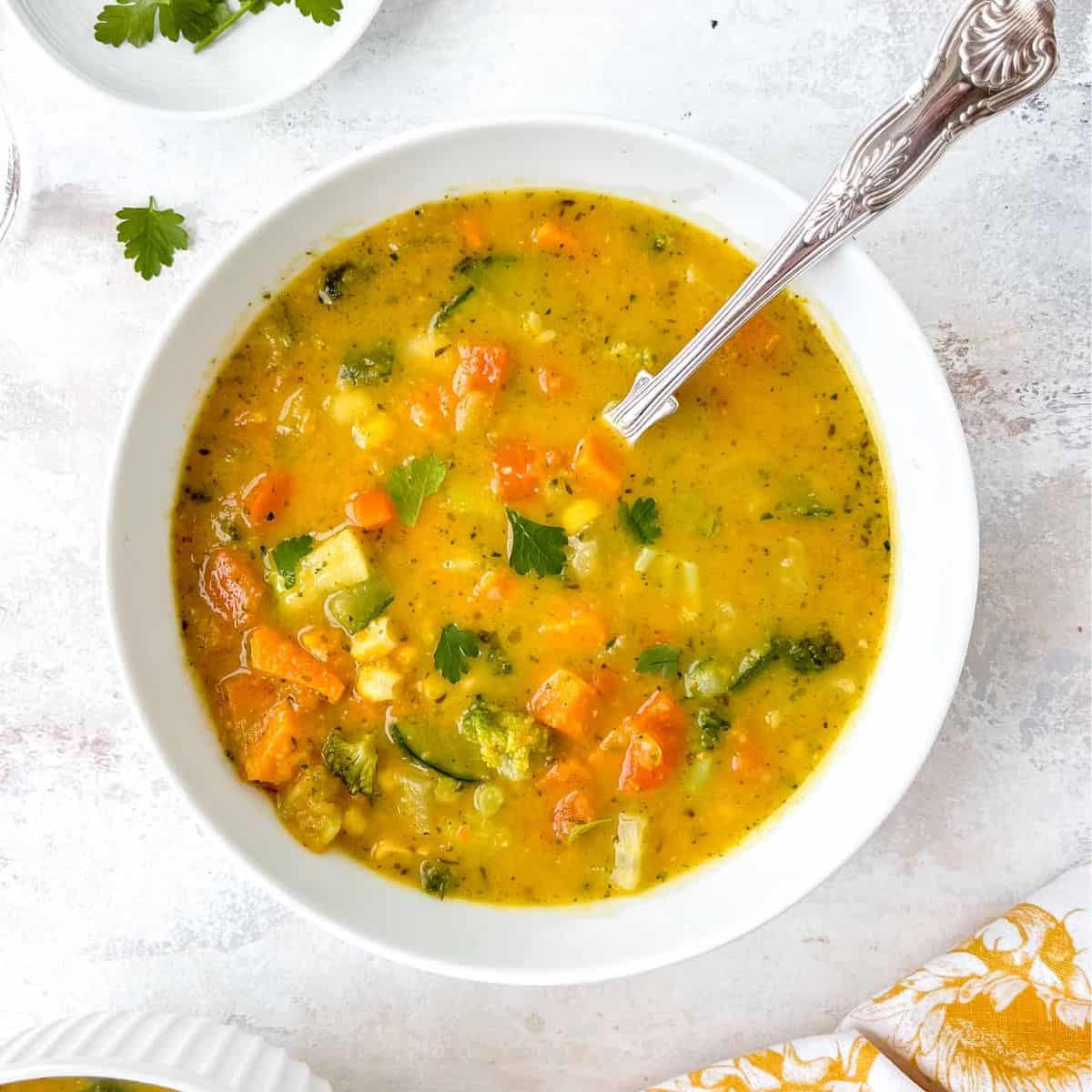 VEGETABLE SOUP