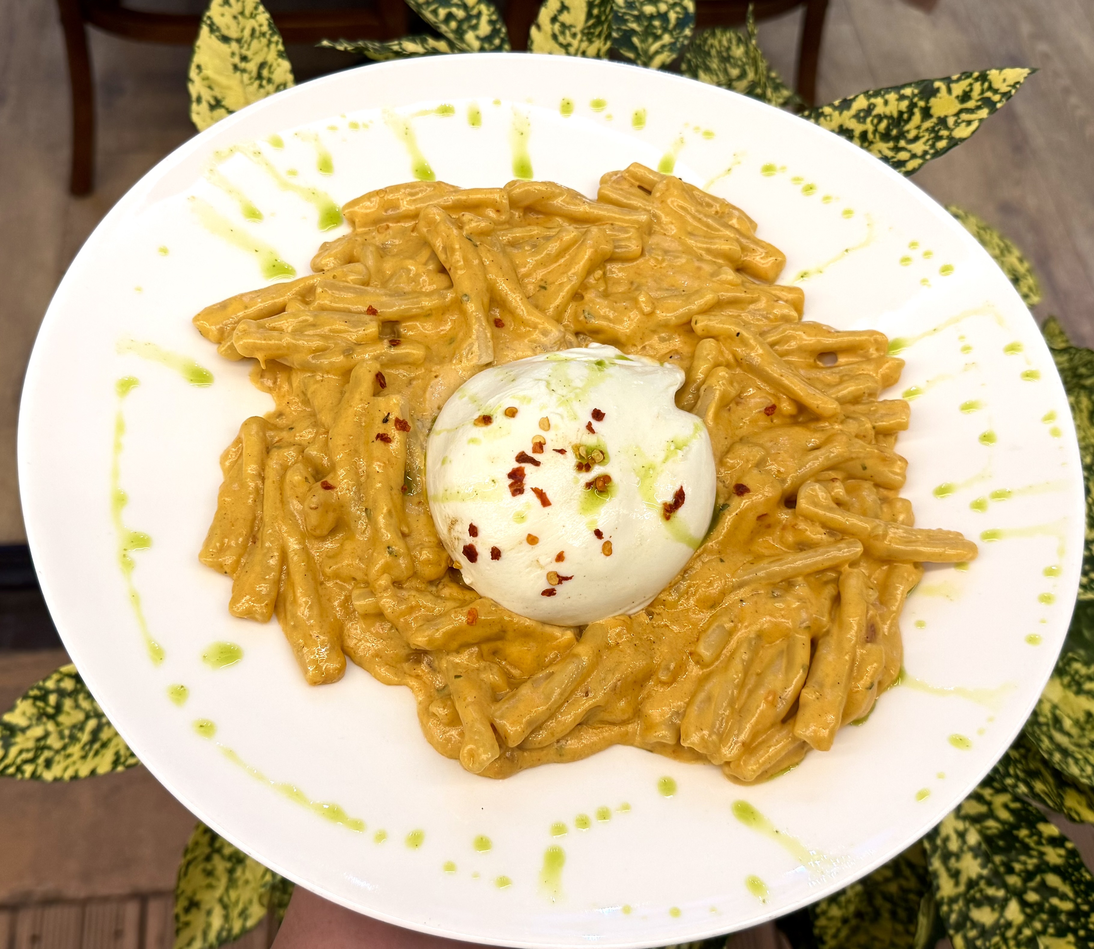 Casarecce Vodka Burrata 
